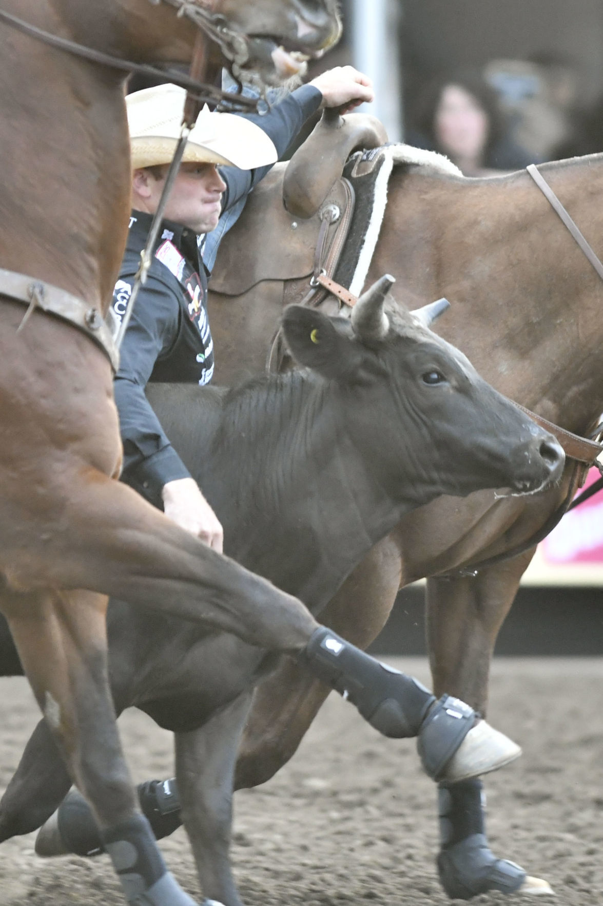 053019 Rodeo Thursday 19.jpg